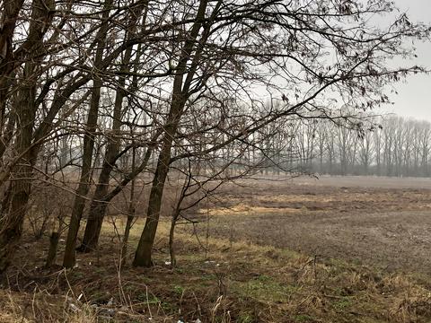 участок по адресу Михайлівська