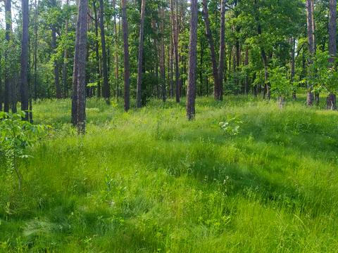 участок по адресу Лісова