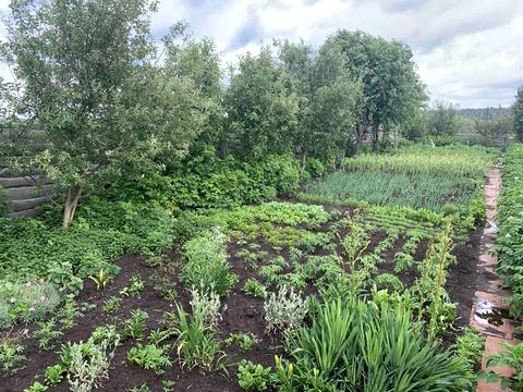 участок по адресу 6-та Лінія вул.