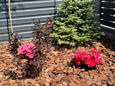 дом по адресу Центральная ул.