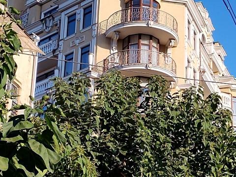 квартира по адресу Французский бульв., 13а