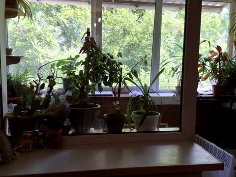 квартира за адресою Транспортна вул., 7а