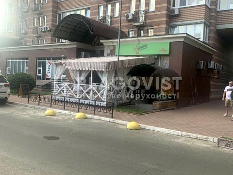комерційна за адресою Голосіївська вул., 13-А