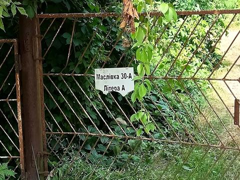 ділянка за адресою Маслівка вул.