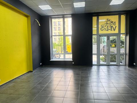 комерційна за адресою Василя Стуса вул. (Пушкінська), 25-Б