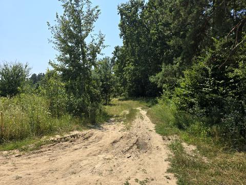 ділянка за адресою Орлова