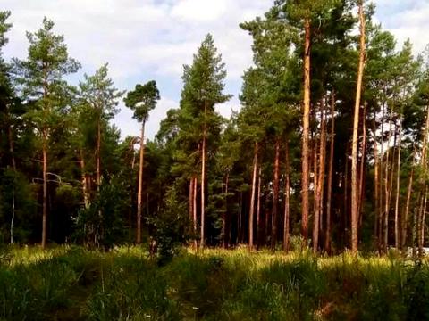 ділянка за адресою Шервудська вул.