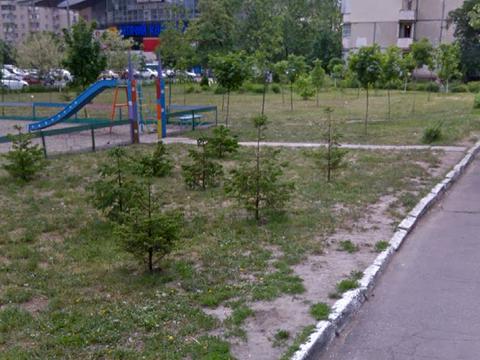 квартира за адресою Оболонський просп., 43