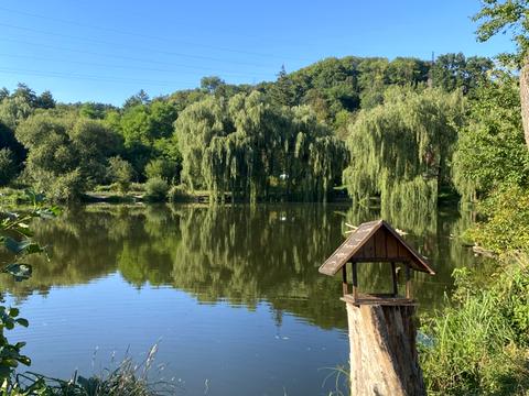 будинок за адресою Замарстинівська вул. (Калініна)