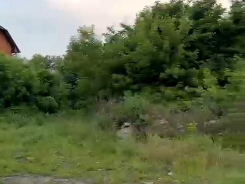 ділянка за адресою Бродівська вул.