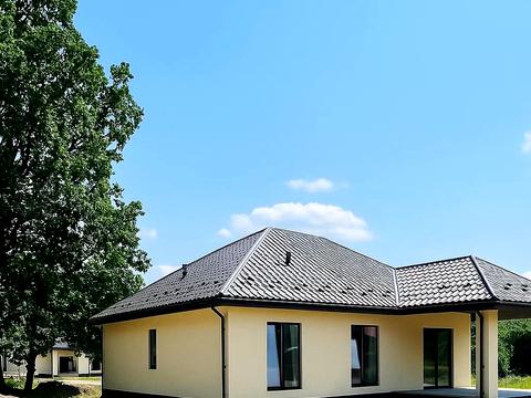 дом по адресу Каштановая ул. (Тракторна)