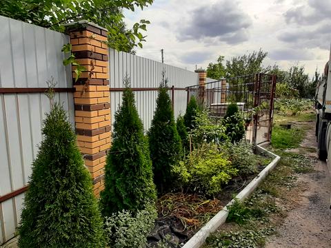 будинок за адресою Аличова