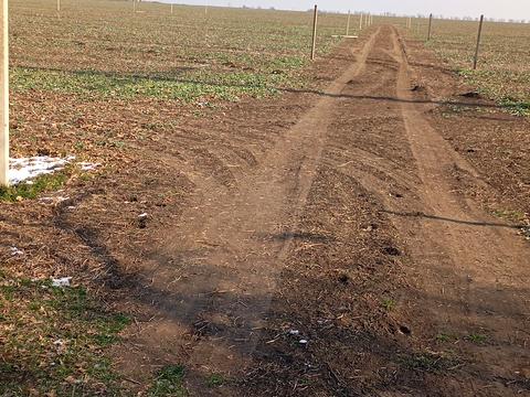 участок по адресу с. Фонтанка, Академика Сахарова ул.