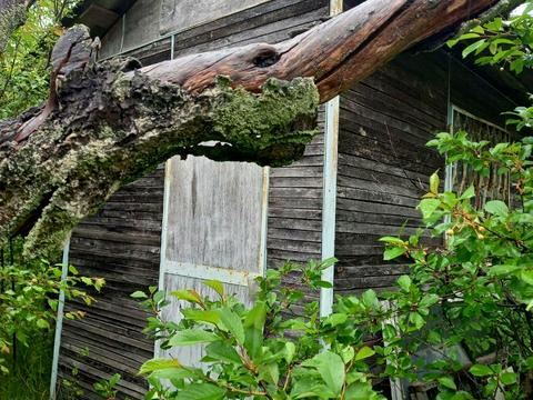 дом по адресу с. Алтестово, Лесная