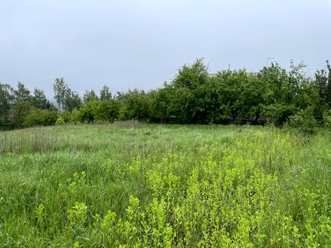 ділянка за адресою с. Пашківці, 