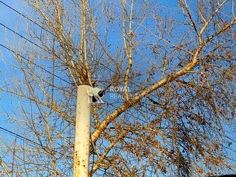 комерційна за адресою Центральна вул., 55