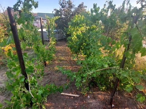 будинок за адресою Лазарєва Адмірала вул., 101