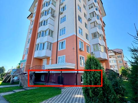комерційна за адресою Бориса Гмирі вул., 2