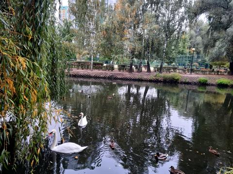 квартира за адресою Вишгородська вул., 45А/5