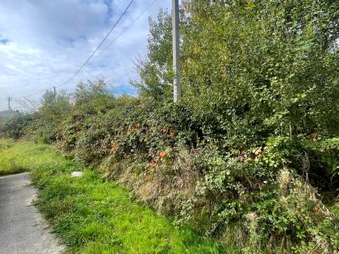 участок по адресу Марійки Підгірянки ул.