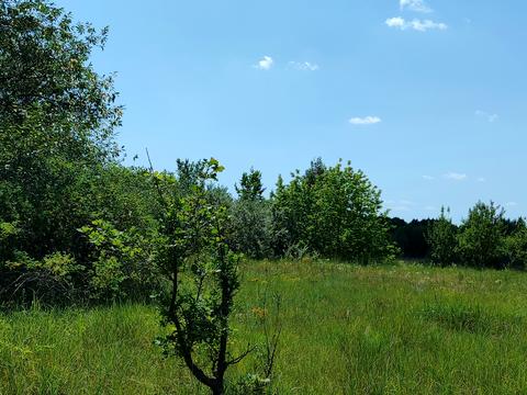 участок по адресу Київська