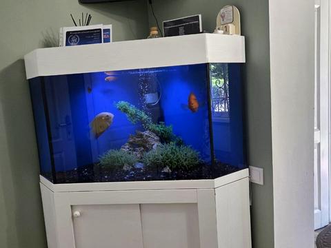 комерційна за адресою Чорнобильська вул., 18
