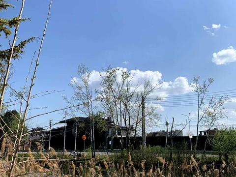 участок по адресу пгт. Козин, 