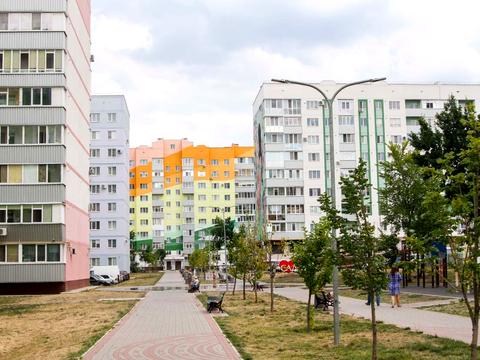 квартира по адресу Перспективная ул., 4