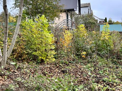 ділянка за адресою 