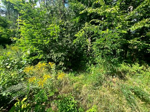 ділянка за адресою Котляревського