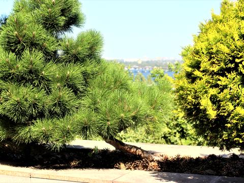 квартира по адресу Володимира Вернадського ул. (Дзержинського), 35-Т