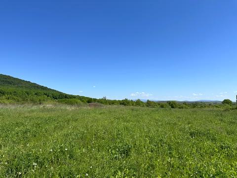 ділянка за адресою Рибна