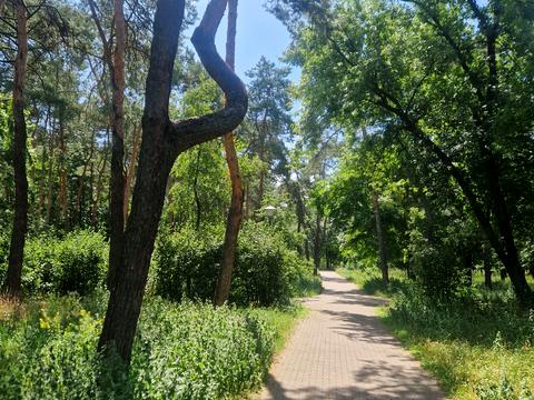 квартира по адресу Воскресенская ул., 2-В