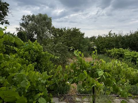 будинок за адресою Малинова, 4