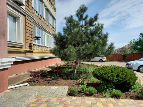 квартира за адресою Приміська, 1