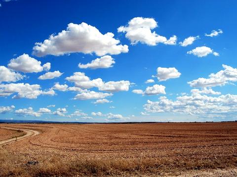 ділянка за адресою Сонячна вул., 22