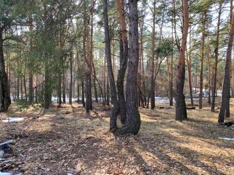 участок по адресу Озерная ул., 33