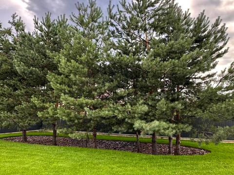 будинок за адресою Володимирська вул.