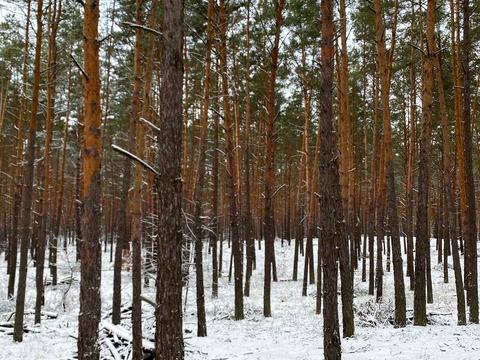 участок по адресу Шервудская ул.