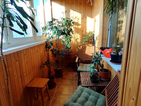 квартира по адресу Анны Ахматовой ул., 37