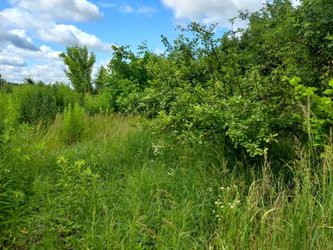 участок по адресу Зелений Хутір, 24