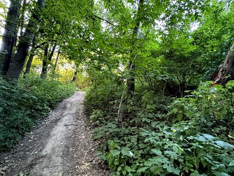 ділянка за адресою Львів, Ланова вул.