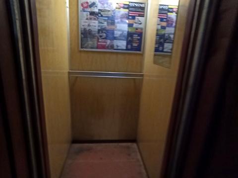 квартира по адресу Прибузька ул., 36/1