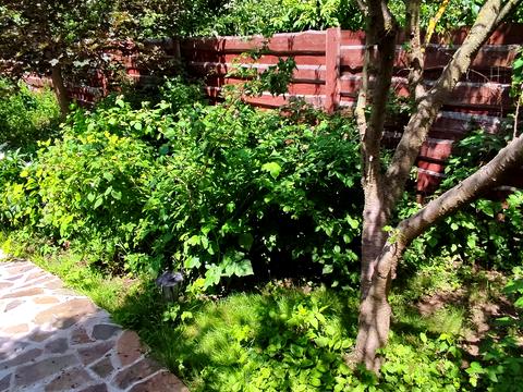 будинок за адресою Олександрівська