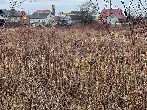 ділянка за адресою Городок, 