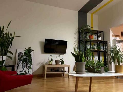 квартира за адресою Польова вул., 31