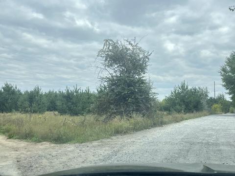 будинок за адресою Чайка