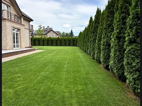 будинок за адресою Золоче