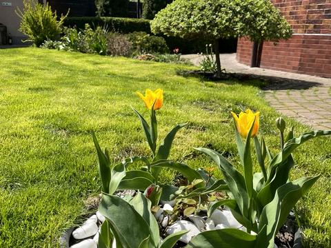 будинок за адресою 12-Ентузіастів, 18