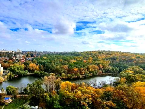 квартира по адресу Киев, Голосеевский просп. (40-летия Октября), 76